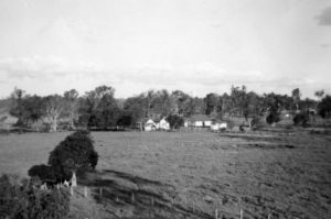 Sinnamon Park Historical Houses